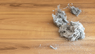 Как эффективнее убрать пыль - сухим или влажным способом